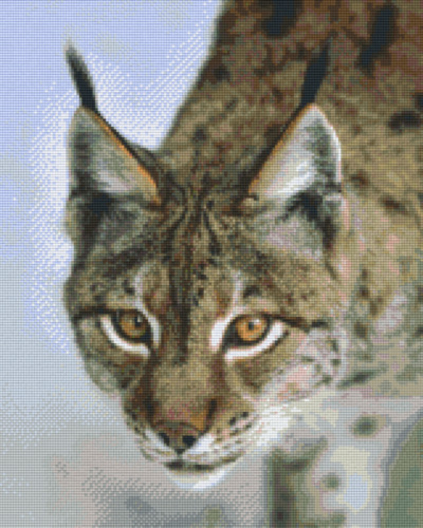 Bobcat Sixteen [16] Baseplate PixelHobby Mini-mosaic Art Kit image 0